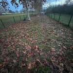 Hundeauslaufgebiet-Hundewiese Biblis-Bild
