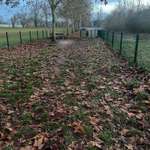 Hundeauslaufgebiet-Hundewiese Biblis-Bild