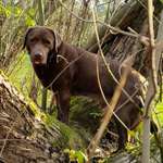 Ersteller:in Vicky Profilbild