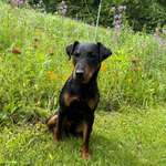 Ersteller:in Sarah Profilbild