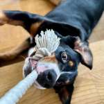 Ersteller:in Sandra Profilbild