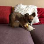 Ersteller:in Marko Profilbild