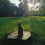 Ersteller:in Tina Profilbild