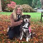 Ersteller:in Elena Profilbild