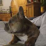 Ersteller:in Carla Profilbild