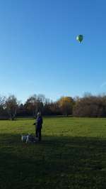 Hundeauslaufgebiet-Bürgerpark Nord (Ossendorf)-Bild