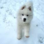 Ersteller:in Laura Profilbild