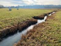 Hundeauslaufgebiet-Mainauen Frankenberg-Bild