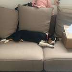 Ersteller:in Melanie Profilbild