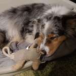 Ersteller:in Jessica Profilbild