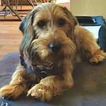 Ersteller:in Claudia Profilbild