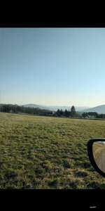 Hundeauslaufgebiet-Reuterweg-Bild