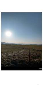 Hundeauslaufgebiet-Reuterweg-Bild