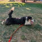 Ersteller:in F Profilbild