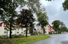 Hundeauslaufgebiet-Rundwanderwege im Wald-Bild