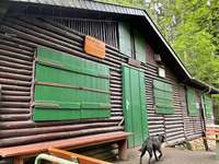 Hundeauslaufgebiet-Rundwanderwege im Wald-Bild