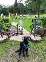 Hundeauslaufgebiet-Rundwanderwege im Wald-Bild