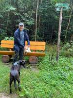 Hundeauslaufgebiet-Rundwanderwege im Wald-Bild