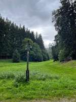 Hundeauslaufgebiet-Rundwanderwege im Wald-Bild