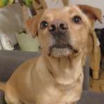 Ersteller:in Annette Profilbild