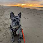 Ersteller:in Simona Profilbild