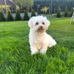 Ersteller:in Josy Profilbild