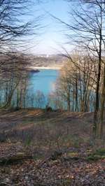 Hundeauslaufgebiet-Steinbruch Prangenhaus-Bild