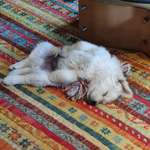 Ersteller:in Christine Profilbild