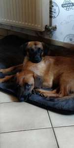 Ersteller:in Sylke Profilbild