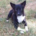 Ersteller:in Lucie Profilbild