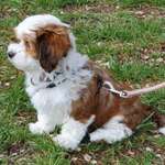 Ersteller:in Fiona Profilbild