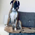 Ersteller:in Ivonne Profilbild