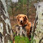 Ersteller:in Bärbel Profilbild