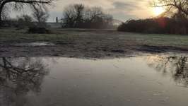 Hundeauslaufgebiet-Hochheimer Mainwiese-Bild