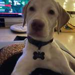 Ersteller:in Rebekka Profilbild