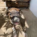 Ersteller:in Michaela Profilbild