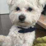 Angst überwinden ! Wie ???-Beitrag-Bild