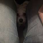 Ersteller:in Mis Profilbild