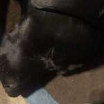 Ersteller:in Susi Profilbild