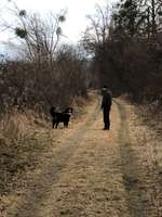 Hundeauslaufgebiet-Arzer Wiese und Inndamm-Bild