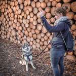 Ersteller:in Britta Profilbild