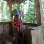 Ersteller:in Julia und Profilbild