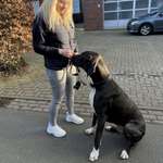 Ersteller:in Jessica Profilbild