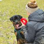 Ersteller:in Franziska Profilbild