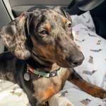 Ersteller:in Jasmin Profilbild