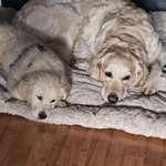 Ersteller:in Jane Profilbild