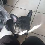 Ersteller:in Doreen Profilbild