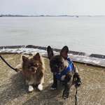 Ersteller:in Michelle Profilbild