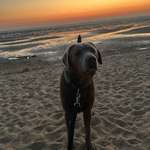 Ersteller:in Leszek Profilbild