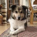 Ersteller:in Brigitte Profilbild